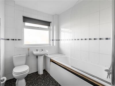 Picture 11